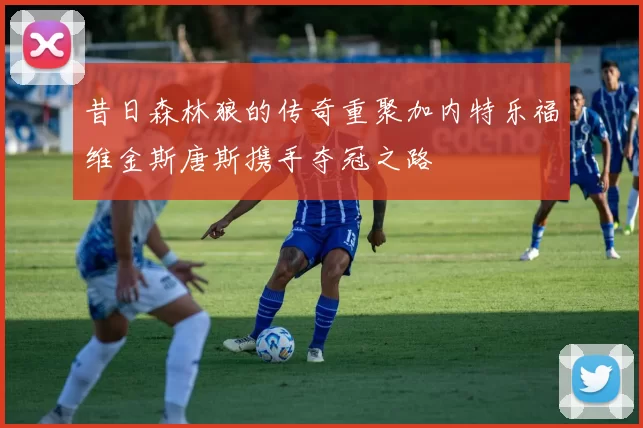 昔日森林狼的传奇重聚加内特乐福维金斯唐斯携手夺冠之路